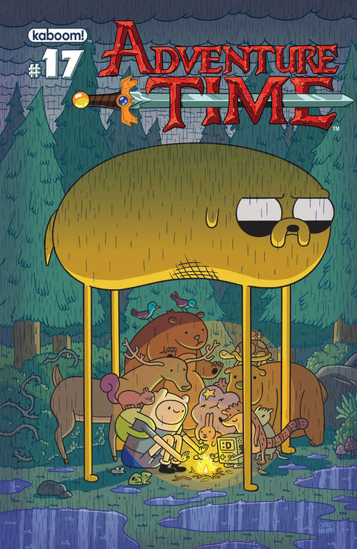 Book cover of Adventure Time #17 (Adventure Time)
