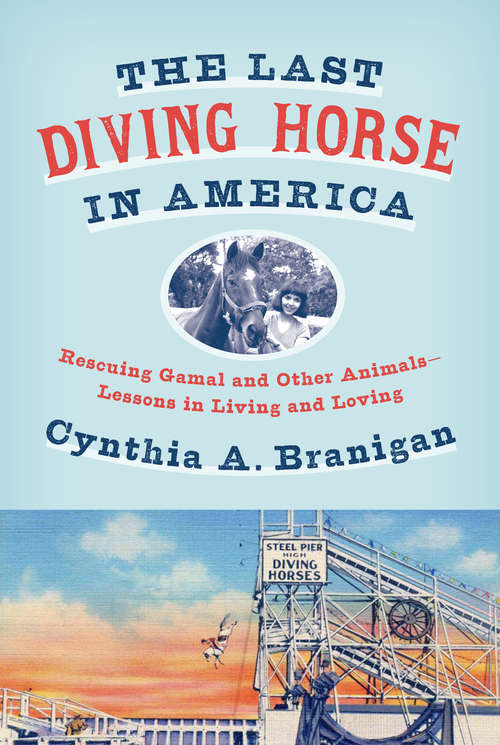 Book cover of The Last Diving Horse in America: Rescuing Gamal and Other Animals--Lessons in Living and Loving