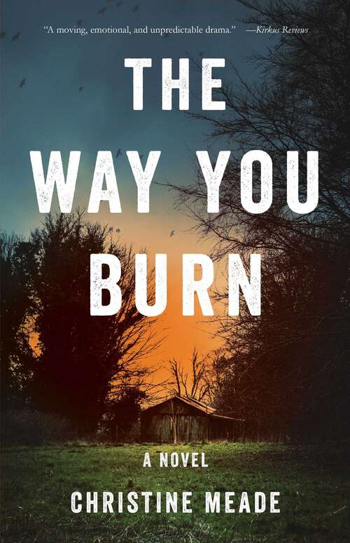 Book cover of The Way You Burn: A Novel