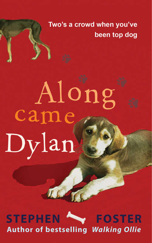 Book cover of Along Came Dylan: Two's A Crowd When You've Been Top Dog
