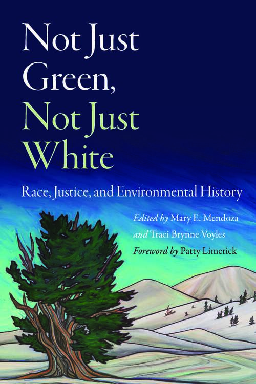 Book cover of Not Just Green, Not Just White: Race, Justice, and Environmental History