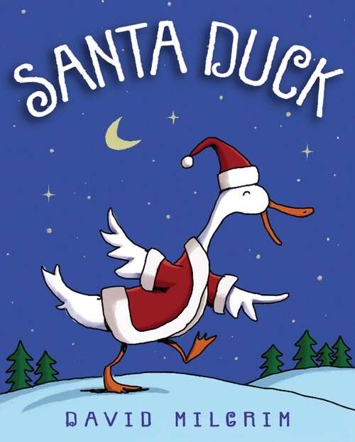 Book cover of Santa Duck