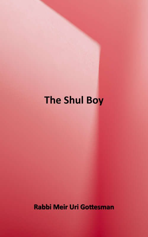 Book cover of The Shul Boy
