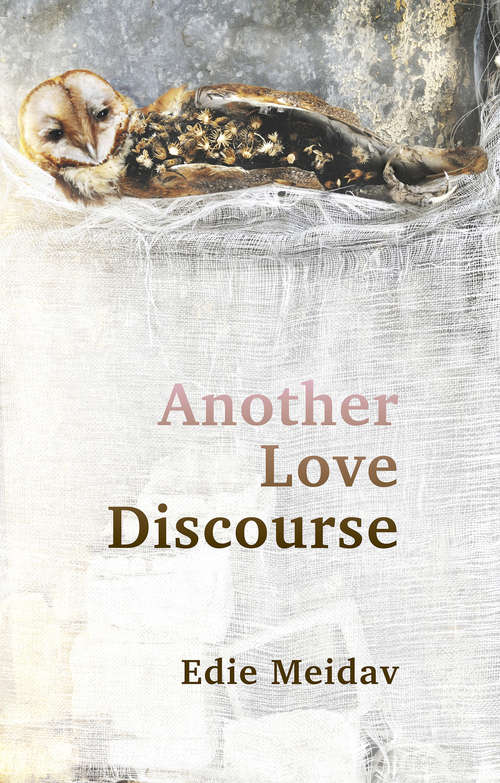 Book cover of Another Love Discourse