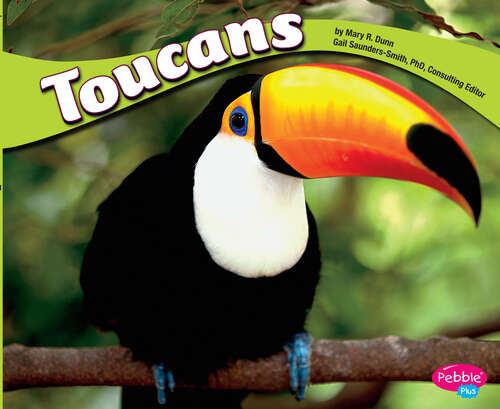 Book cover of Toucans (South American Animals Ser.)