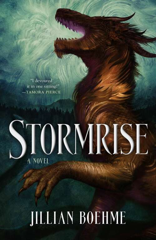 Book cover of Stormrise