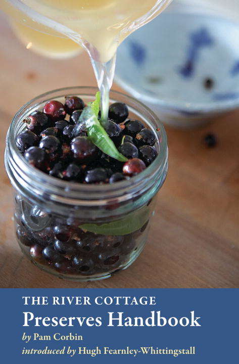 Book cover of The River Cottage Preserves Handbook