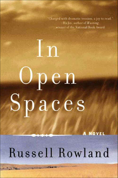 Book cover of In Open Spaces: A Novel