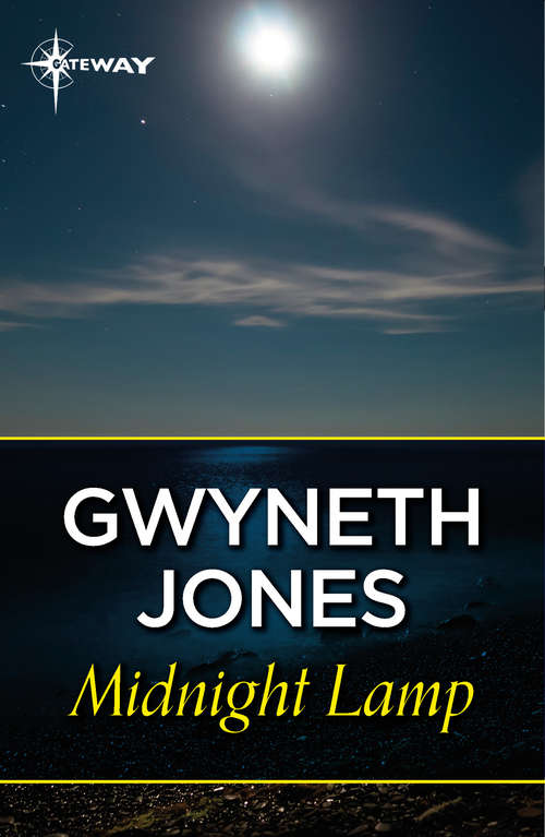 Book cover of Midnight Lamp