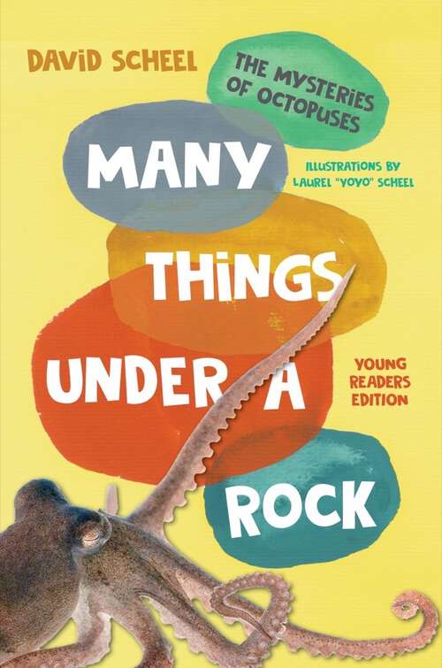 Book cover of Many Things Under a Rock Young Readers Edition: The Mysteries of Octopuses