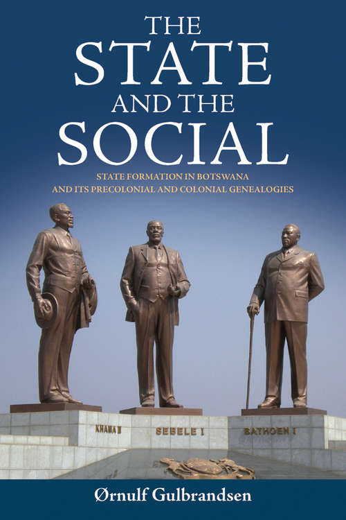 Book cover of The State And The Social