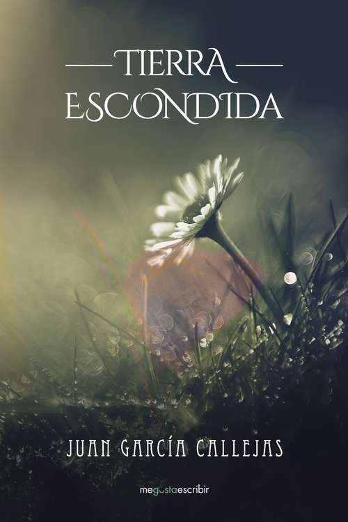Book cover of Tierra escondida