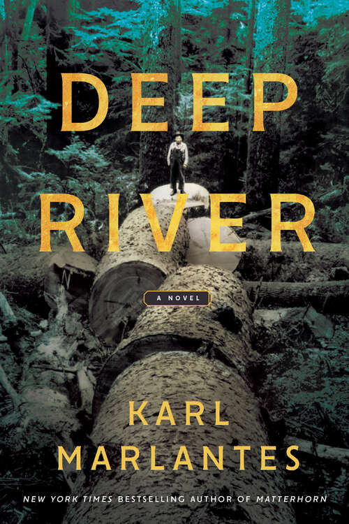 Book cover of Deep River: A Novel