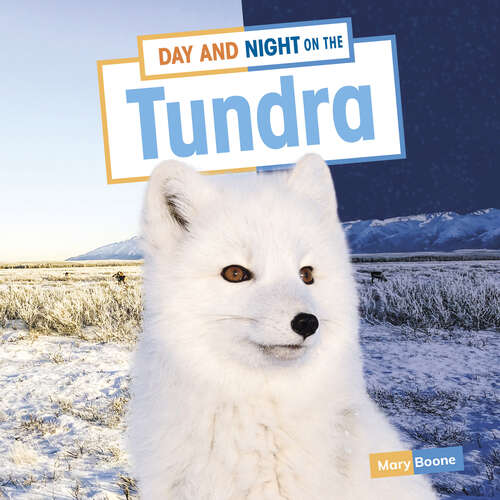 Book cover of Day and Night on the Tundra (Habitat Days and Nights)