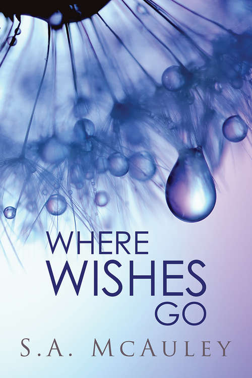 Book cover of Where Wishes Go