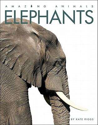 Book cover of Elephants (Amazing Animals)