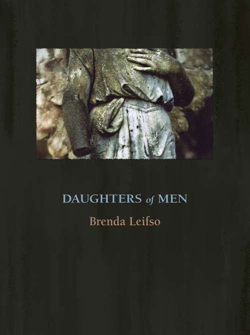 Book cover of Daughters of Men