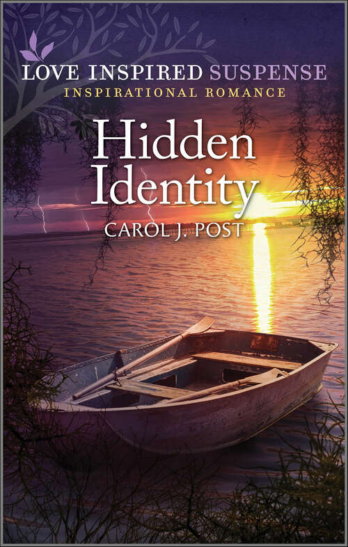 Book cover of Hidden Identity: Detecting Danger Emergency Reunion Hidden Identity (Original)