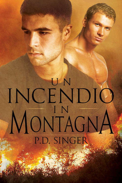 Book cover of Un incendio in montagna (Serie Le montagne #1)
