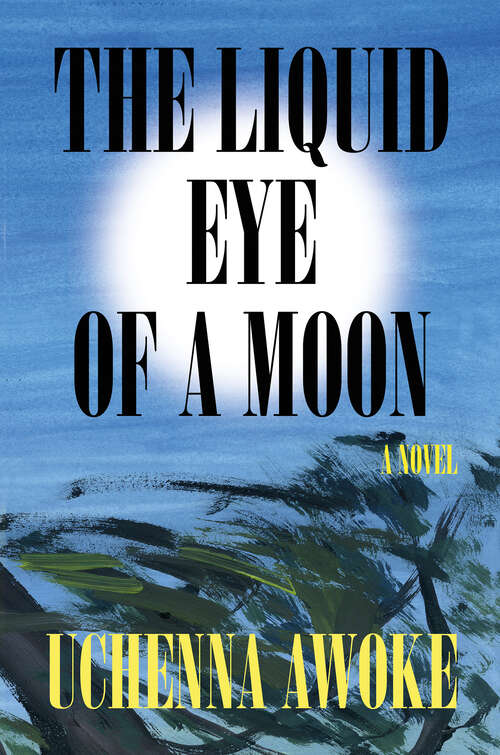 Book cover of The Liquid Eye of a Moon: A Novel