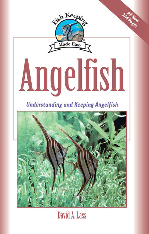 Book cover of Angelfish