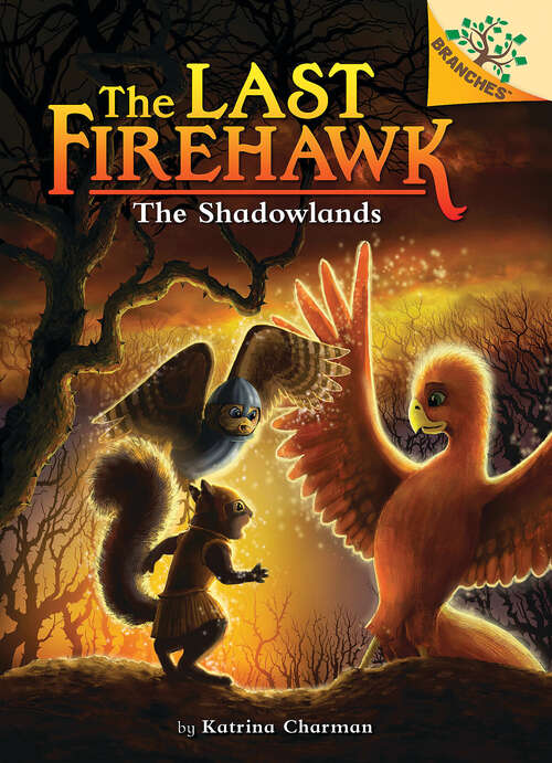 Book cover of The Shadowlands: A Branches Book (The Last Firehawk #5)