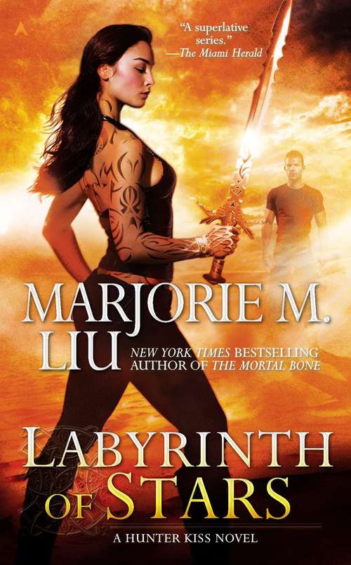 Book cover of Labyrinth of Stars