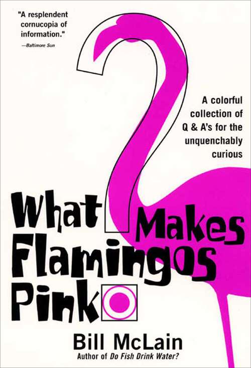 Book cover of What Makes Flamingos Pink?: A Colorful Collection of Q & A's for the Unquenchably Curious