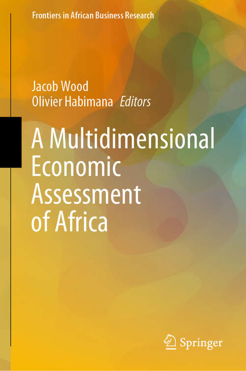 Book cover of A Multidimensional Economic Assessment of Africa (1st ed. 2020) (Frontiers in African Business Research)