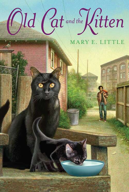 Book cover of Old Cat and the Kitten