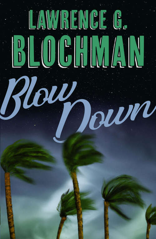 Book cover of Blow-Down