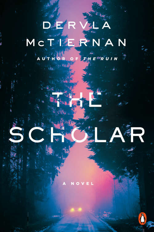 Book cover of The Scholar: A Novel (The Cormac Reilly Series #02)
