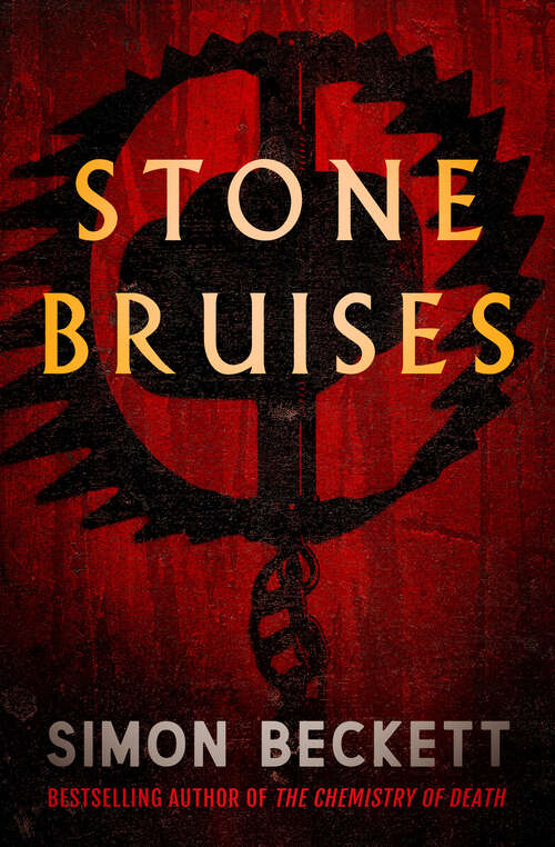 Book cover of Stone Bruises