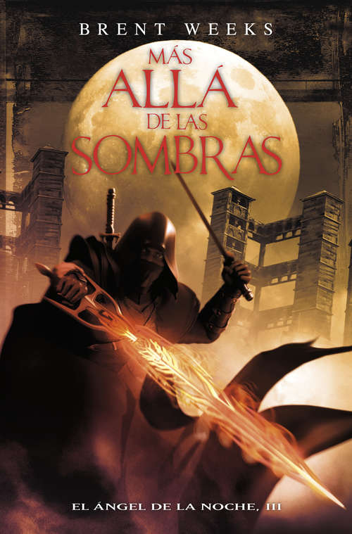 Book cover of Más allá de las sombras (El Ángel de la Noche: Volumen 3)