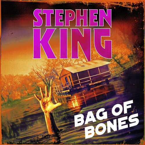 Book cover of Bag of Bones