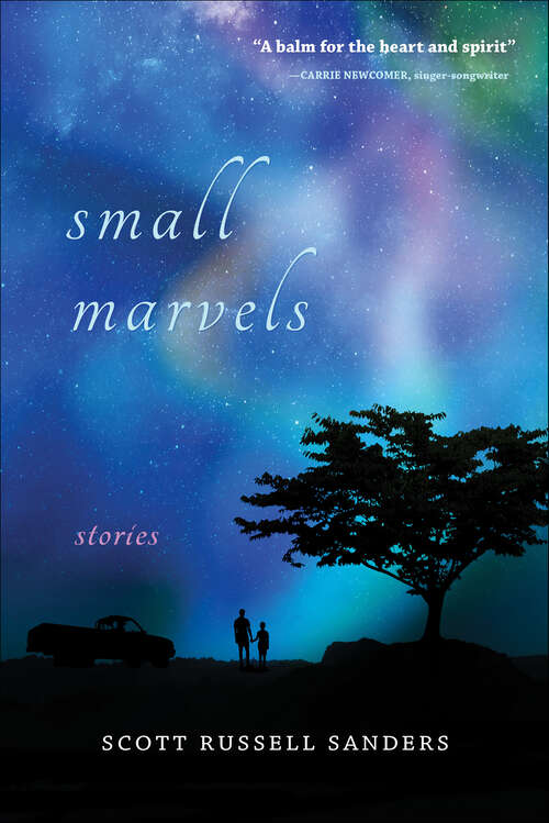 Book cover of Small Marvels: Stories