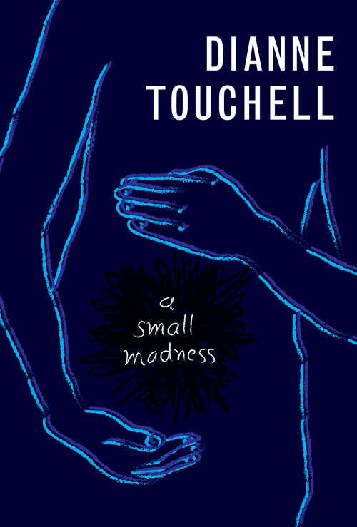 Book cover of A Small Madness
