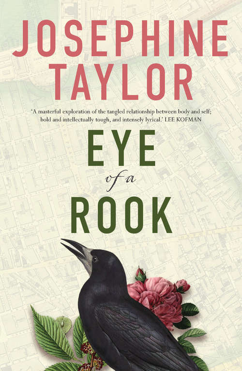 Book cover of Eye of a Rook