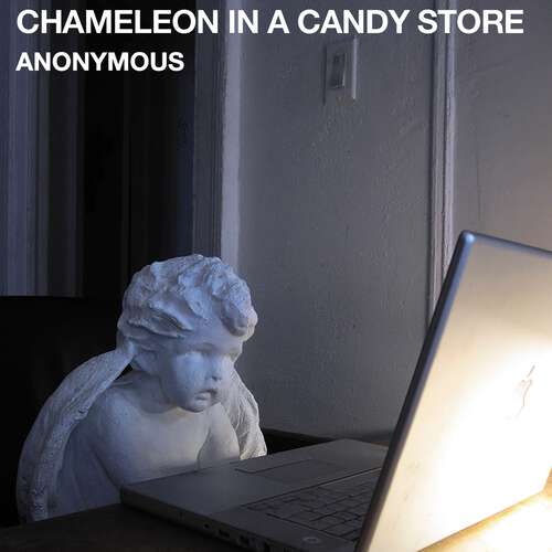 Book cover of Chameleon in a Candy Store (Oxygen Thief Diaries #2)