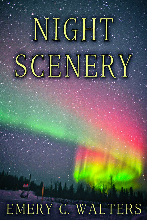 Book cover of Night Scenery