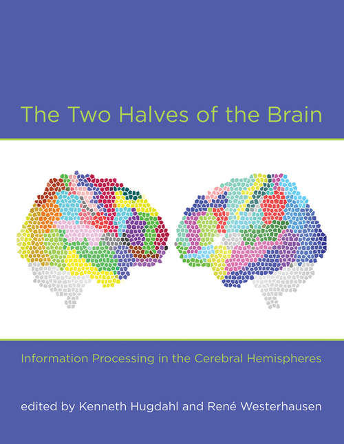 Book cover of The Two Halves of the Brain: Information Processing in the Cerebral Hemispheres