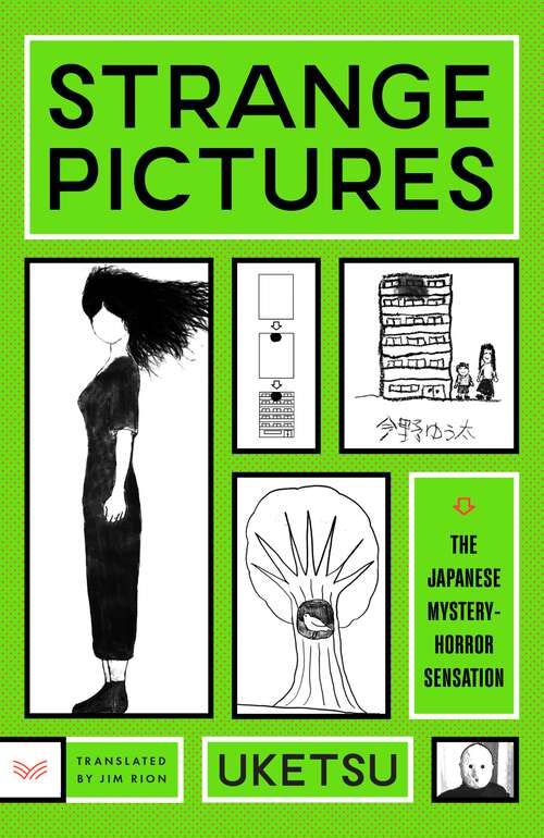 Book cover of Strange Pictures: A Novel