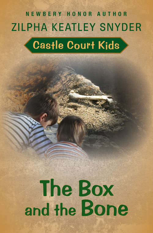 Book cover of The Box and the Bone (Digital Original) (Castle Court Kids #2)