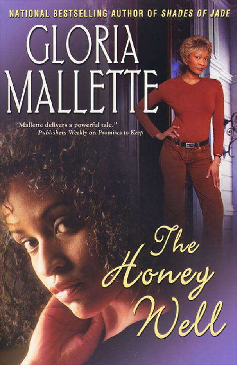 Book cover of The Honey Well