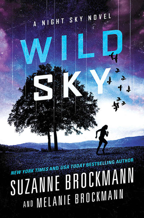 Book cover of Wild Sky