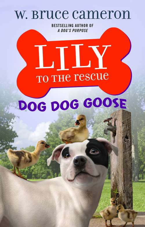 Book cover of Lily to the Rescue: Dog Dog Goose (Lily to the Rescue! #4)