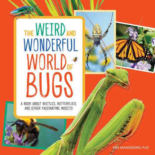 Book cover of The Weird and Wonderful World of Bugs: A Book About Beetles, Butterflies, and Other Fascinating Insects