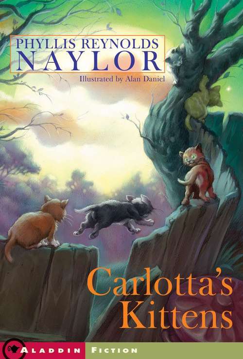 Book cover of Carlotta's Kittens and the Club of Mysteries