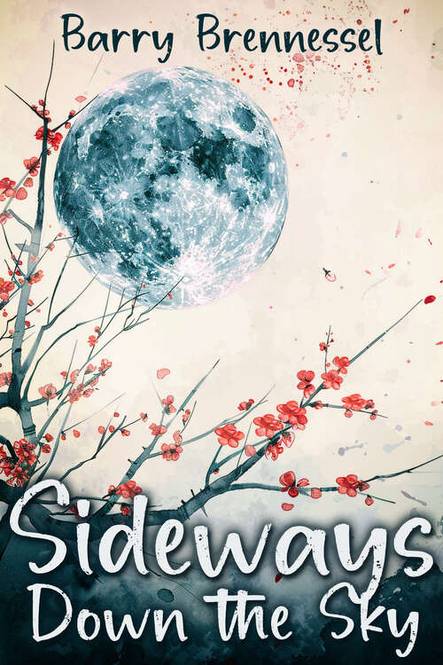 Book cover of Sideways Down the Sky