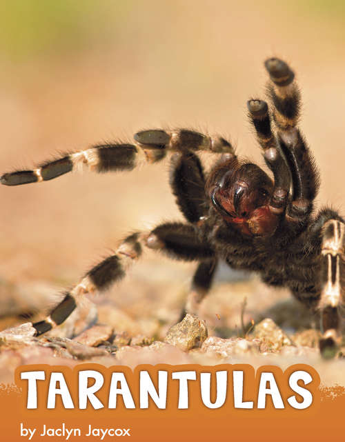 Book cover of Tarantulas (Animals)